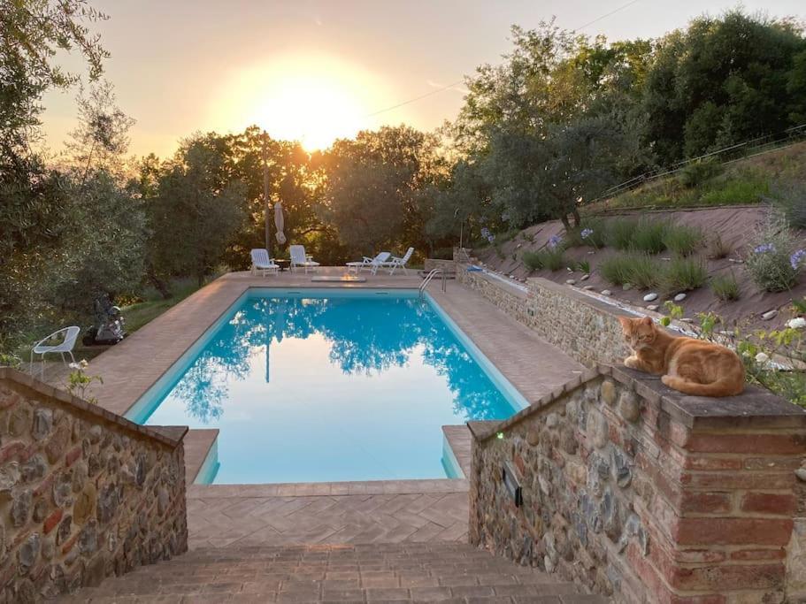 Vesper - Casale Con Piscina - Ad Galli Cantum 皮耶韦城 外观 照片
